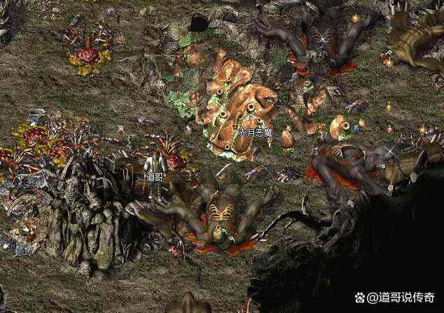 私服传奇敏捷和准确属性实战攻略 三职业搭配技巧全解析